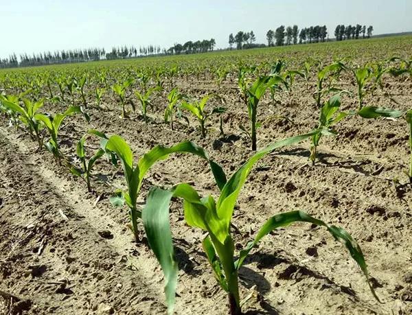 1620619435.jpg 微信圖片_20210510120302.jpg